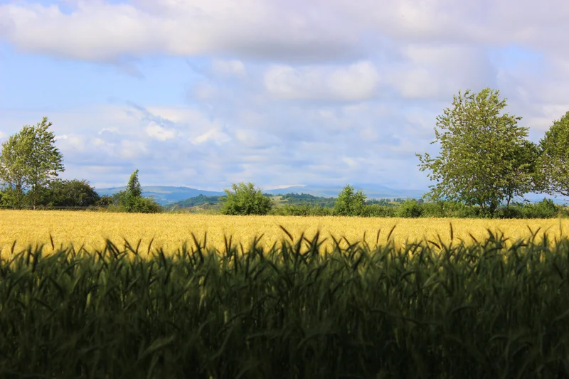 Randonnée Le plateau de Thérondels · Thérondels