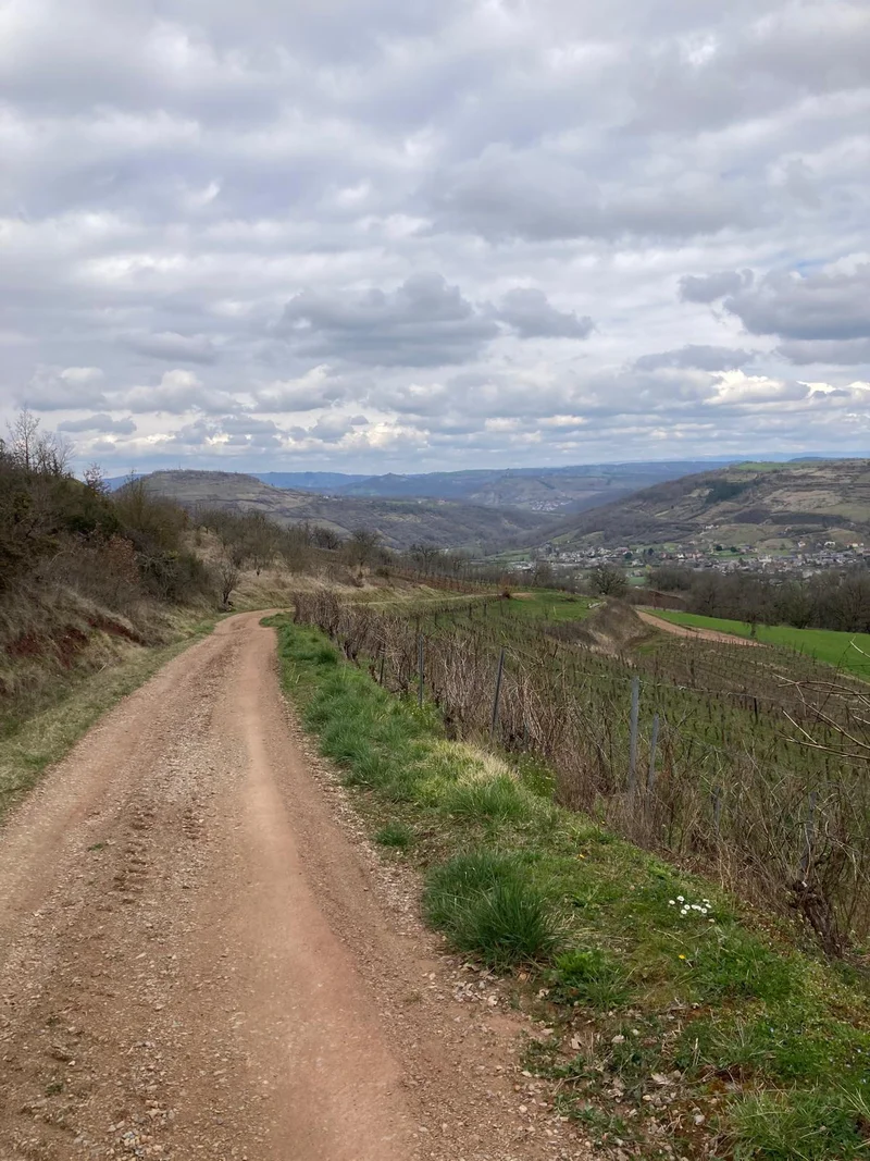 Randonnée Vignes et bois autour de Cassagnes · Goutrens