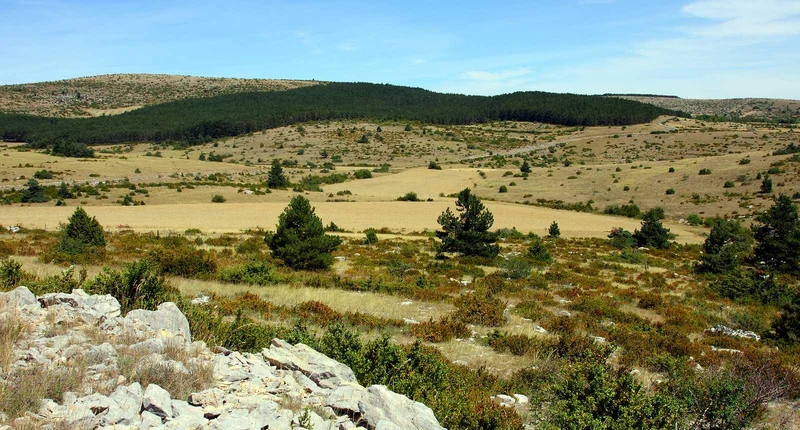 Randonnée A travers le Causse · Sévérac-le-Château