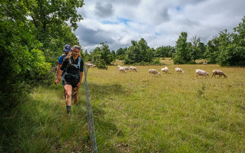 Randonnée A la découverte du Larzac à pied · La Couvertoirade
