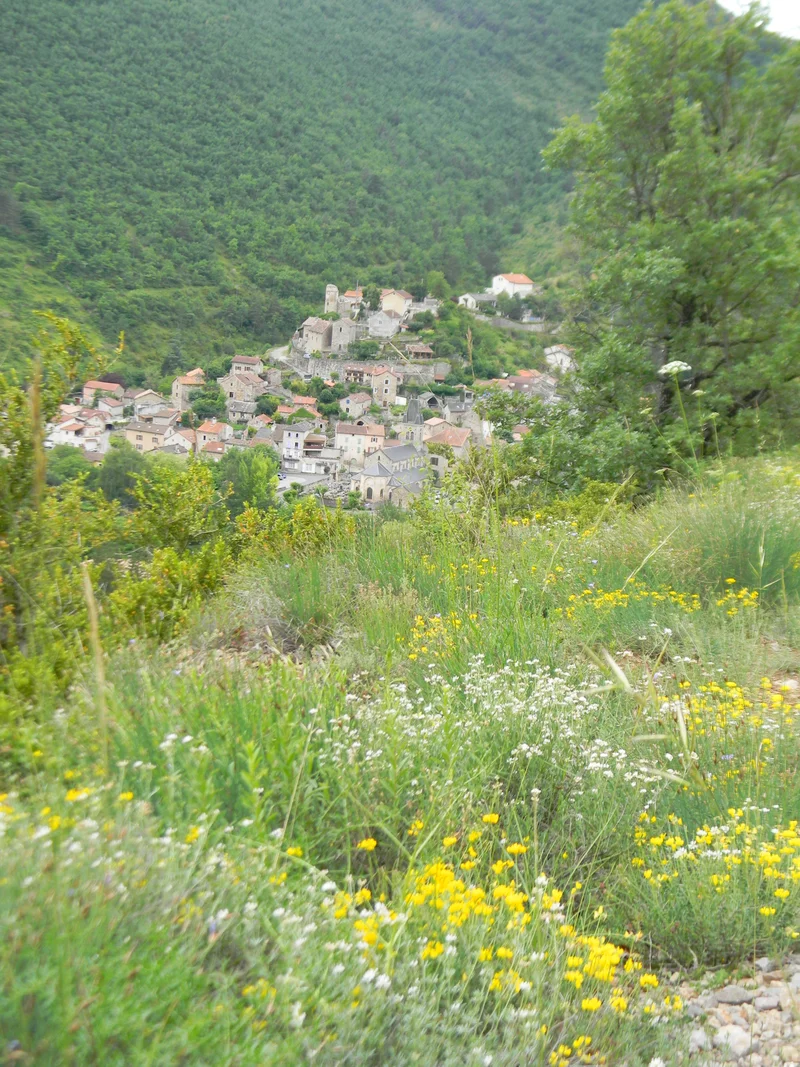 Randonnée La Blaquière-St-Jean-de-Liverset · Verrières