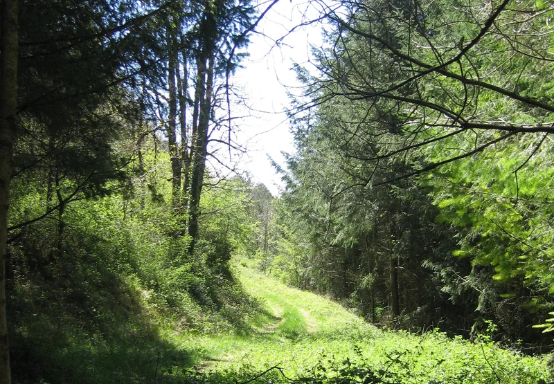 Randonnée L'Assetadou (ou chemin de Tata Berthe) · Sainte-Eulalie-de-Cernon