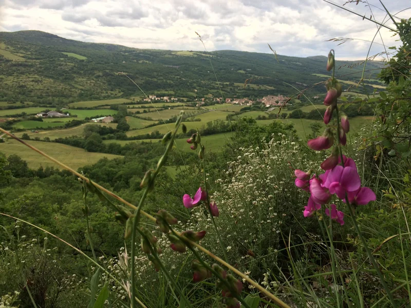 Randonnée Peyrefioc · Sainte-Eulalie-de-Cernon