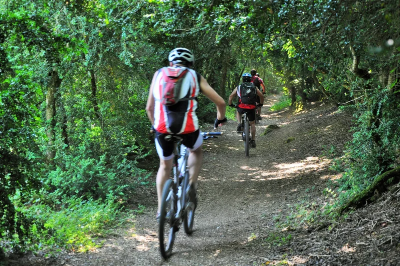 VTT VTT N°61 - Les Buissières du Larzac · Millau