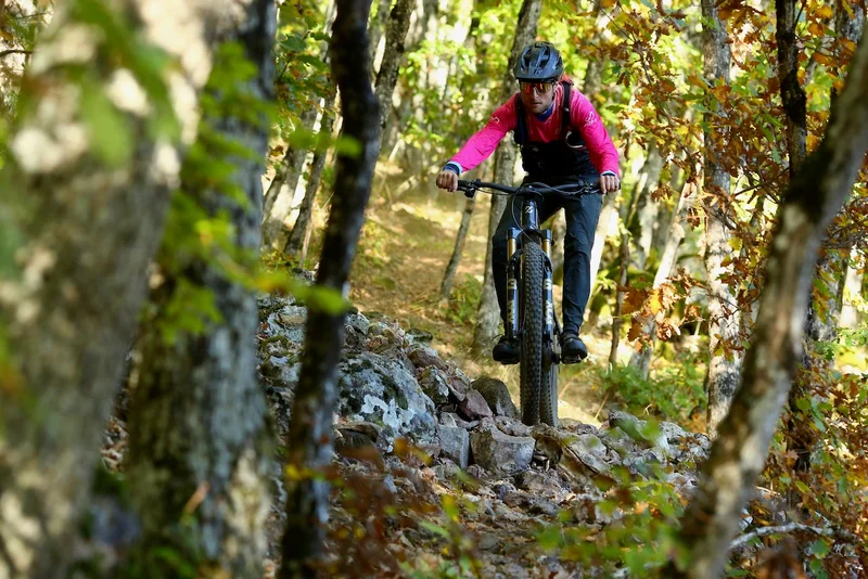 VTT Autour du Mazet - VTT n°11 · Montrodat