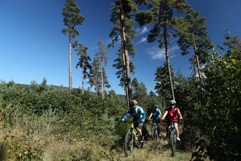 VTT La croix de Prunière VTT/VTTAE Circuit B · Chaudes-Aigues