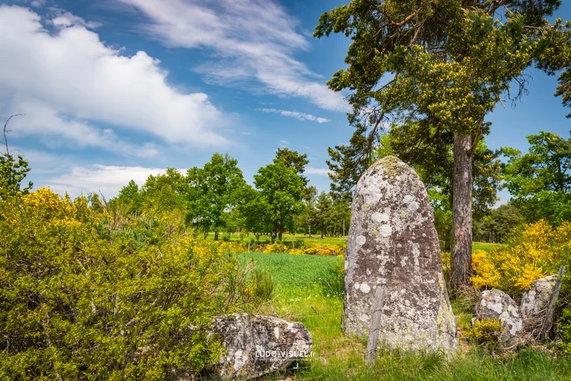 VTT Le Menhir de Pinjo Chabre - VTT n°12 · Vareilles