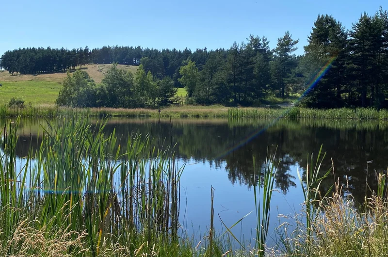 VTT L'étang de la Rouvière - VTT n°22 · Saint-Alban-sur-Limagnole