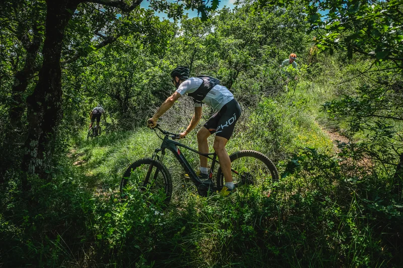 VTT VTT N°31 - Le balcon d'Arnac · Brusque