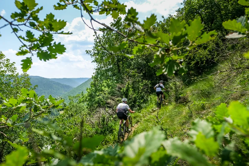 VTT VTT N°32 - Circuit du Haut Dourdou · Brusque