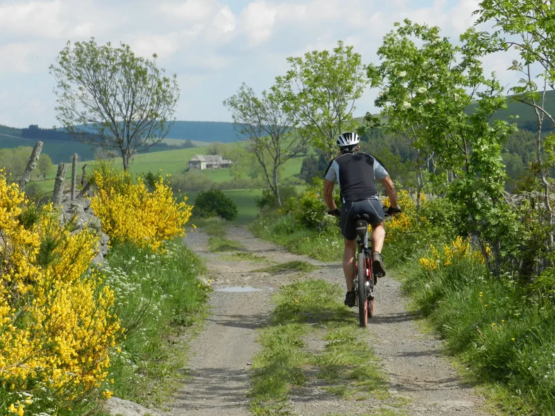 VTT Station du Bouyssou, Le petit tour - VTT n°12 bleu · Laguiole