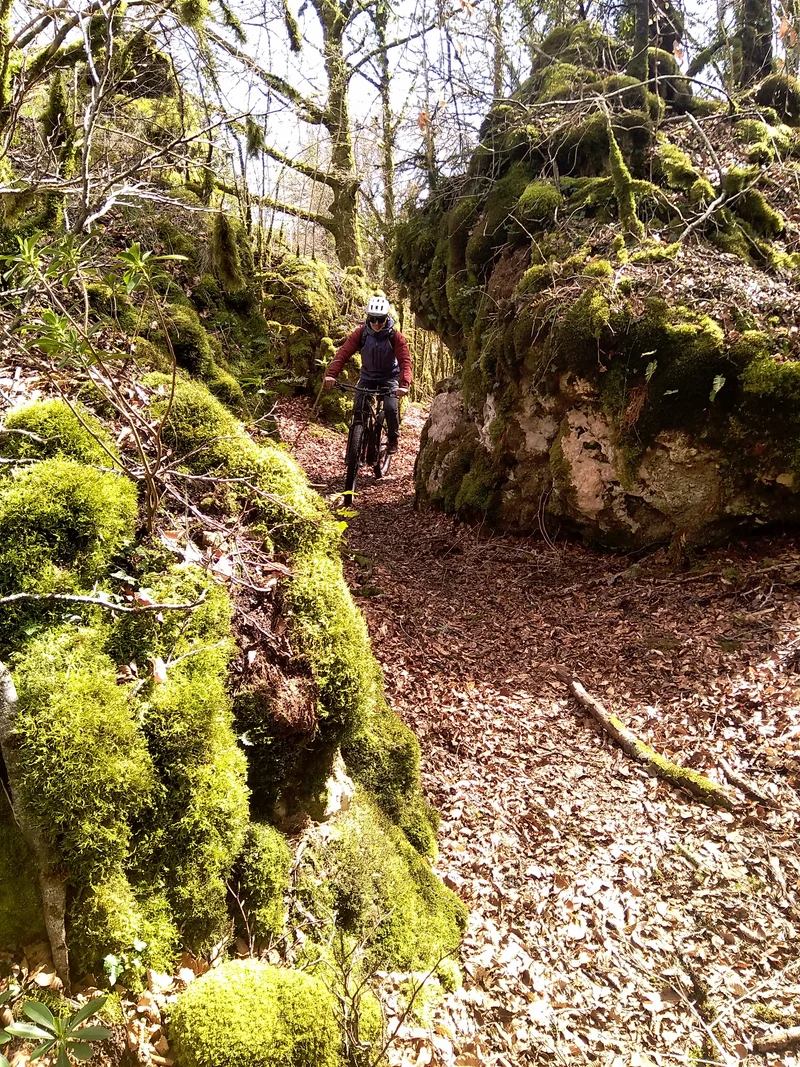 VTT VTT N°71 - Le tour du Lac · Le Caylar