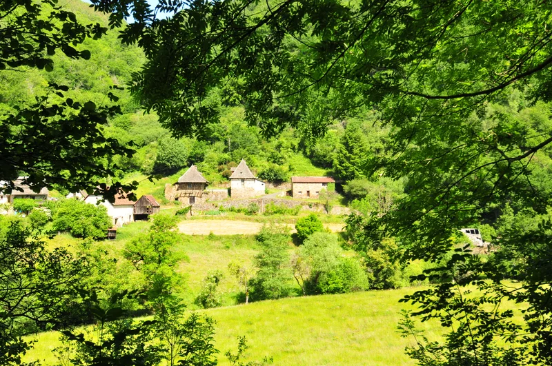 VTT VTT FFCT du Carladez - La forêt de Murols · Murols