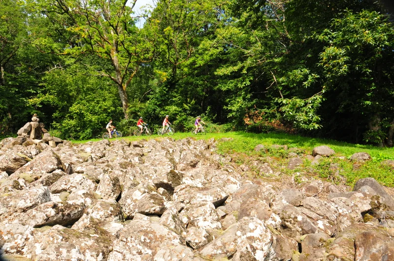 VTT VTT FFCT du Carladez n°8 - La coulée de lave et l'étang de la Fage · Lacroix-Barrez