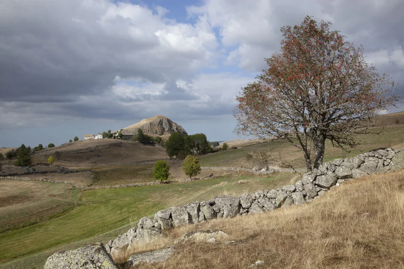Vélo de route En passant par le Parc Naturel Régional de l'Aubrac · Le Buisson