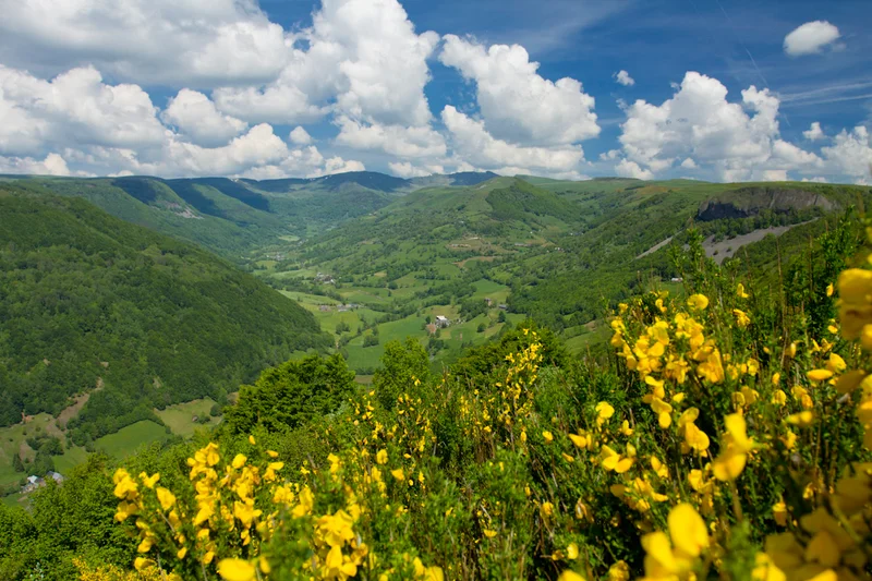 Vélo de route Les Monts du Cantal · Mur-de-Barrez