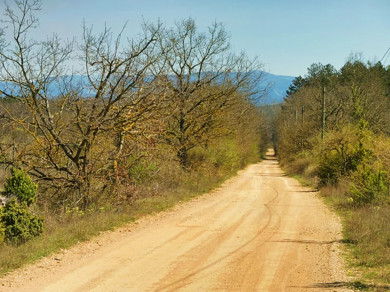 Vélo de route Gravel N°13 - Randonnée Gravel sur les pistes forestières du Larzac · L'Hospitalet-du-Larzac