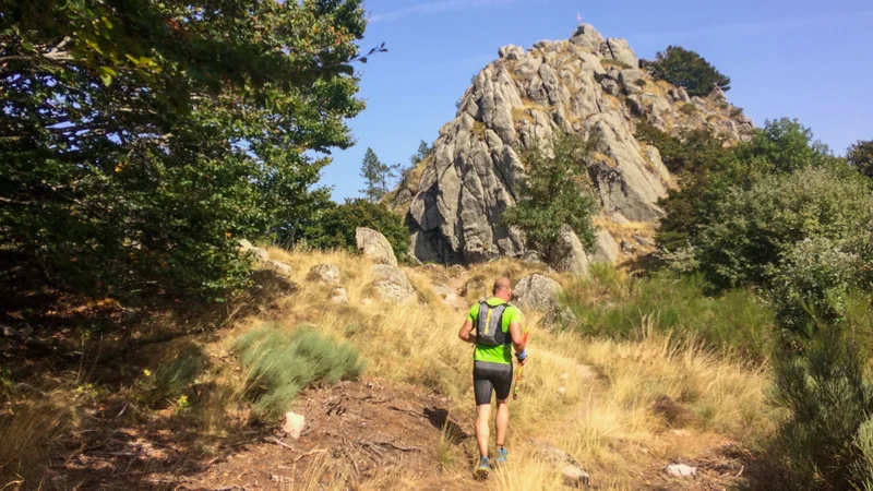 Trail Trail N°20 - St-Guiral Circus · Saint-Jean-du-Bruel