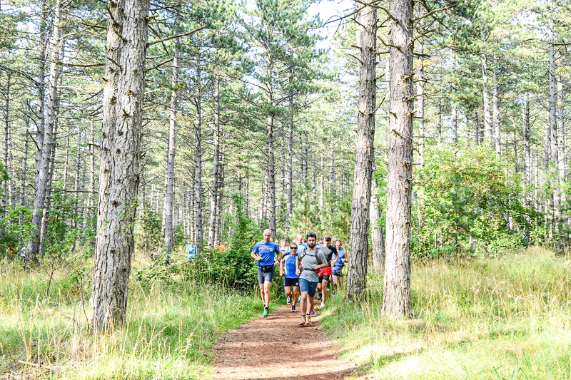 Trail Trail N°01 - Millau / Le Monna · Millau