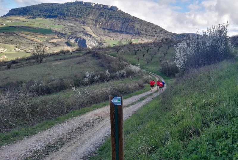 Trail Trail N°06 - La Cresse · La Cresse