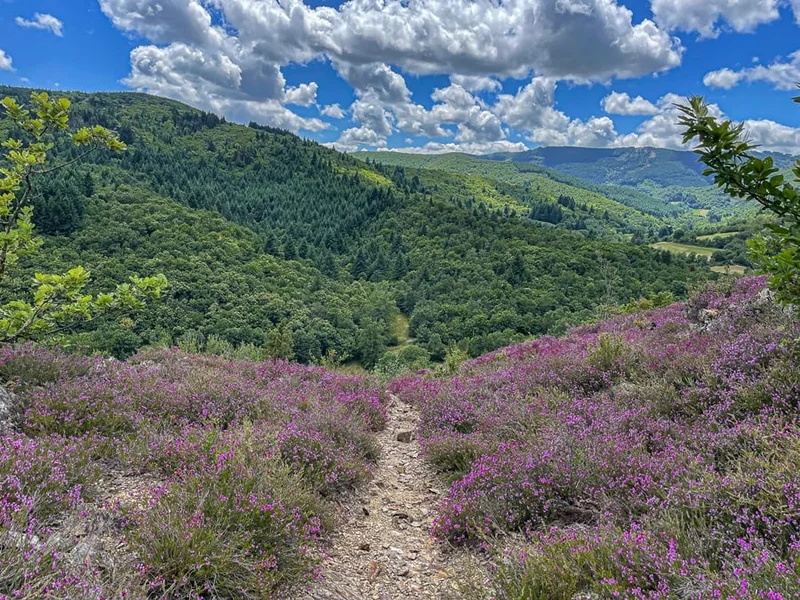 Trail Trail N°34 Brusque - Haut Dourdou · Brusque
