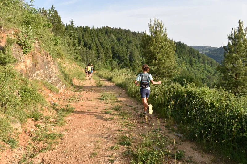 Trail Une escapade en forêt - Trail n°2 · Chanac