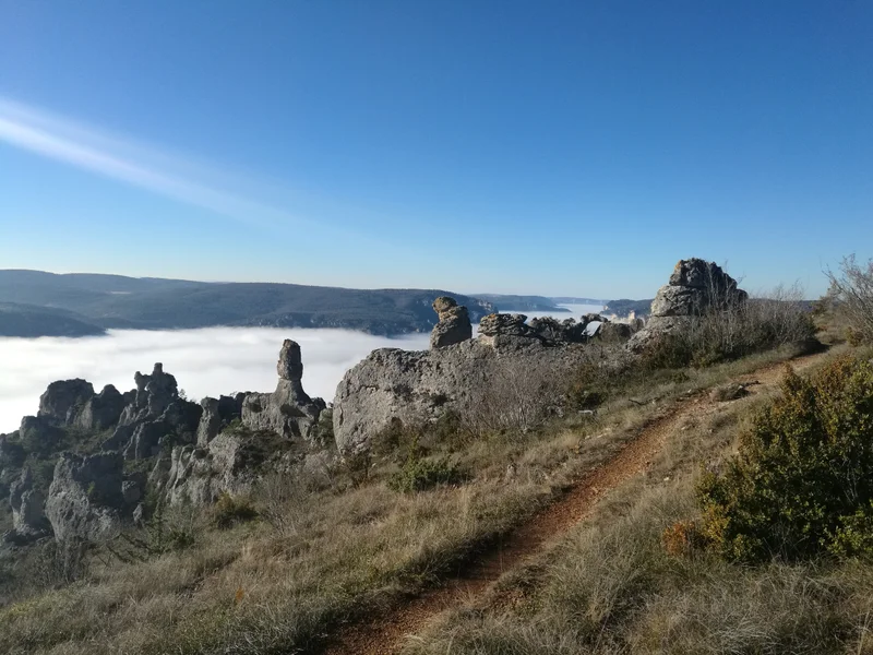 Trail Trail N°08 - La Roque-Sainte-Marguerite · La Roque-Sainte-Marguerite