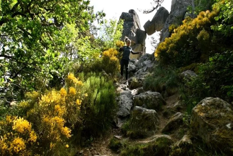 Trail La Porte des Fées - Trail n°2 · Le Malzieu-Ville