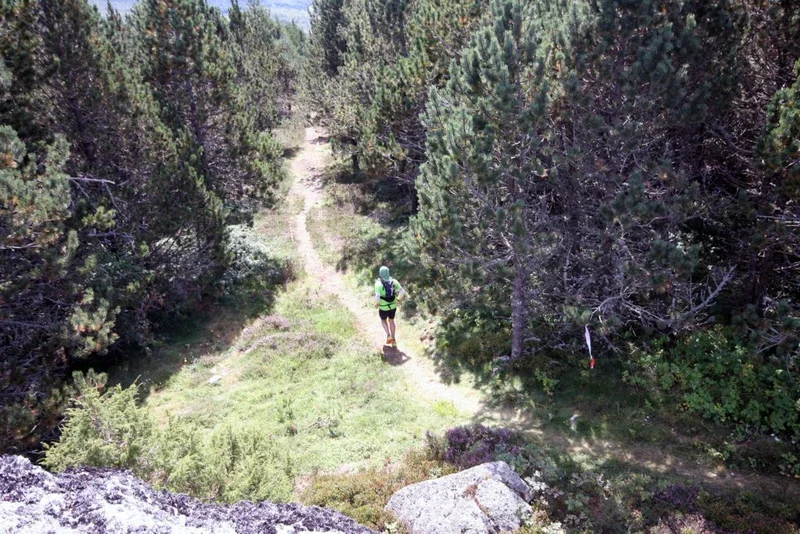 Trail Au coeur de la Margeride – Trail n°7 · Le Malzieu-Ville