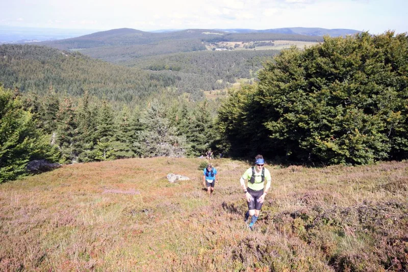 Trail Escapade au Mont Mouchet - Trail n°5 · Julianges