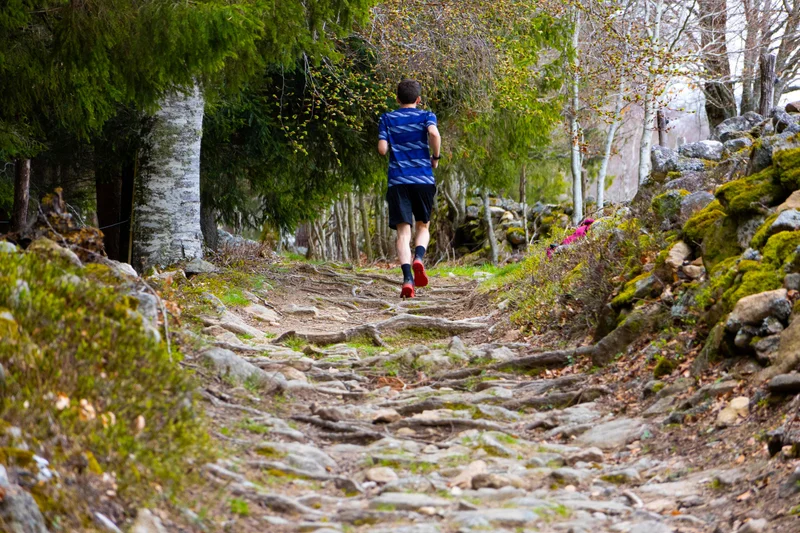 Trail Autour de Fournels - Trail n°31 · Fournels