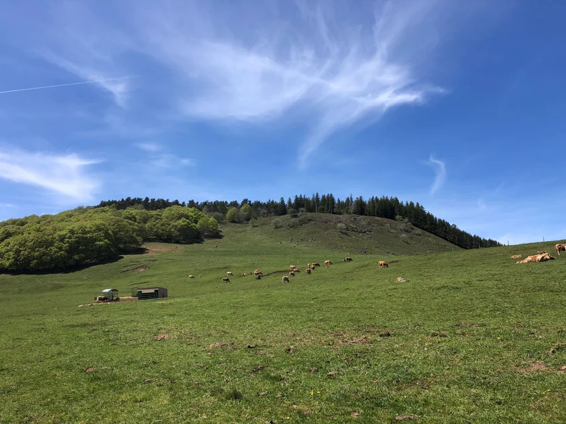Trail Les Granges - Trail n°42 · Nasbinals