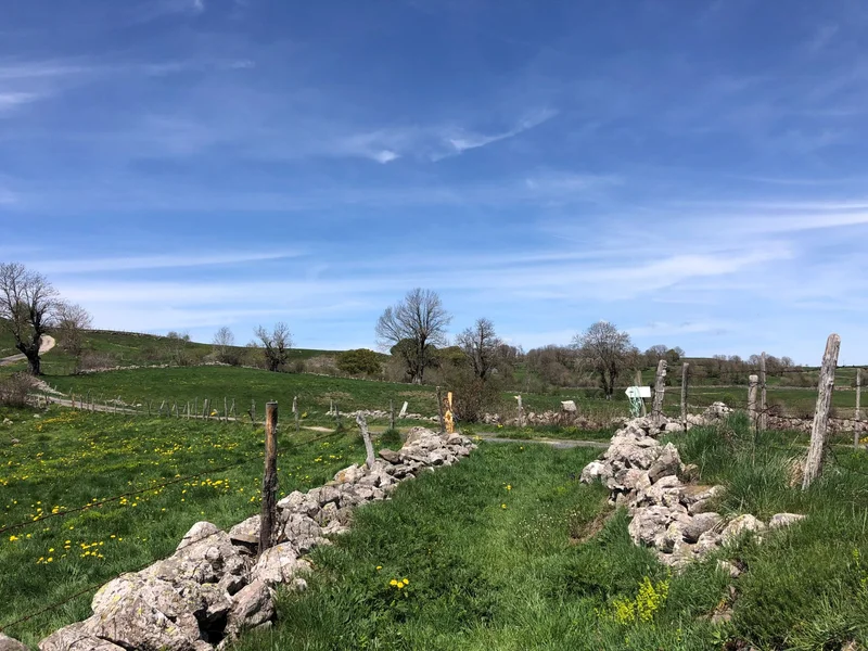 Trail Les Granges en passant par le Fer à Cheval- Trail n°44 · Nasbinals