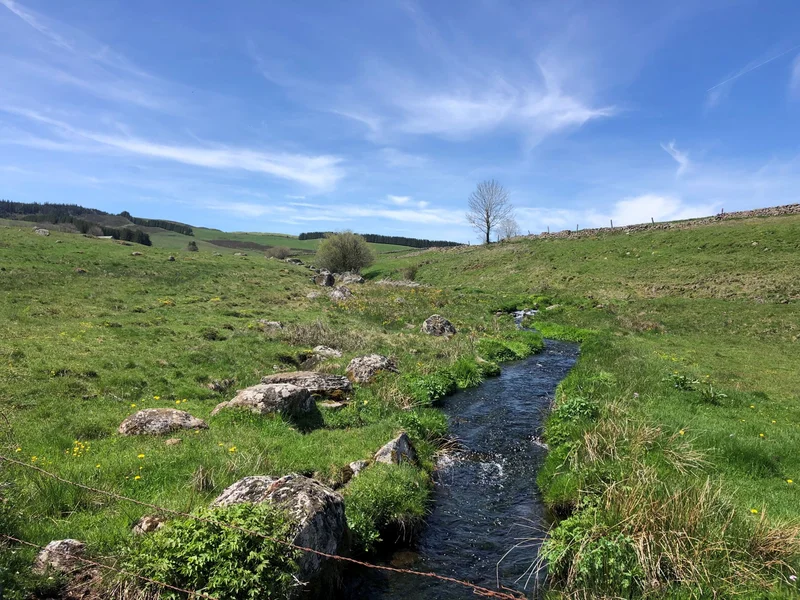 Trail De Nasbinals à Saint-Urcize- Trail n°45 · Nasbinals