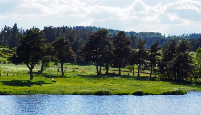 Trail Le Lac du Moulinet - Trail n°11 · Le Buisson