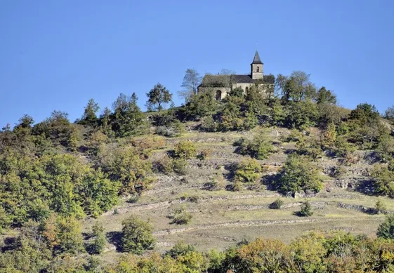 Trail Parcours Terra Trail n°8 Le Grand Mas · Mouret
