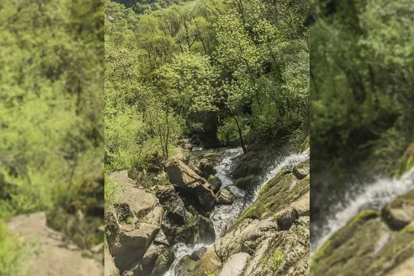 Trail Parcours Terra Trail n°15 Polissal · Mouret