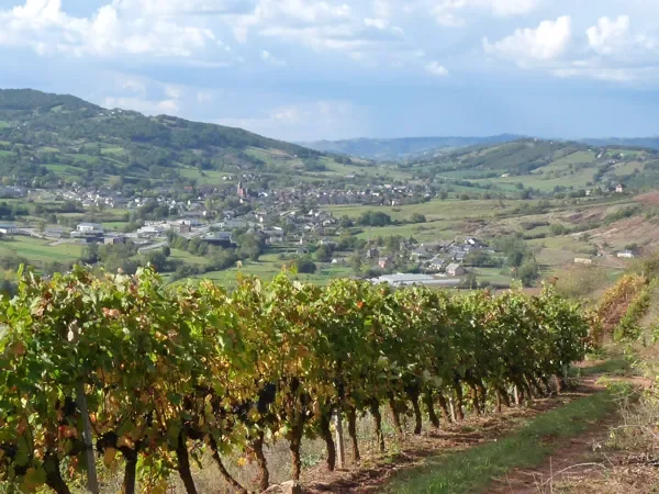 Trail Parcours Terra Trail n°14B Saint-Christophe · Saint-Christophe-Vallon