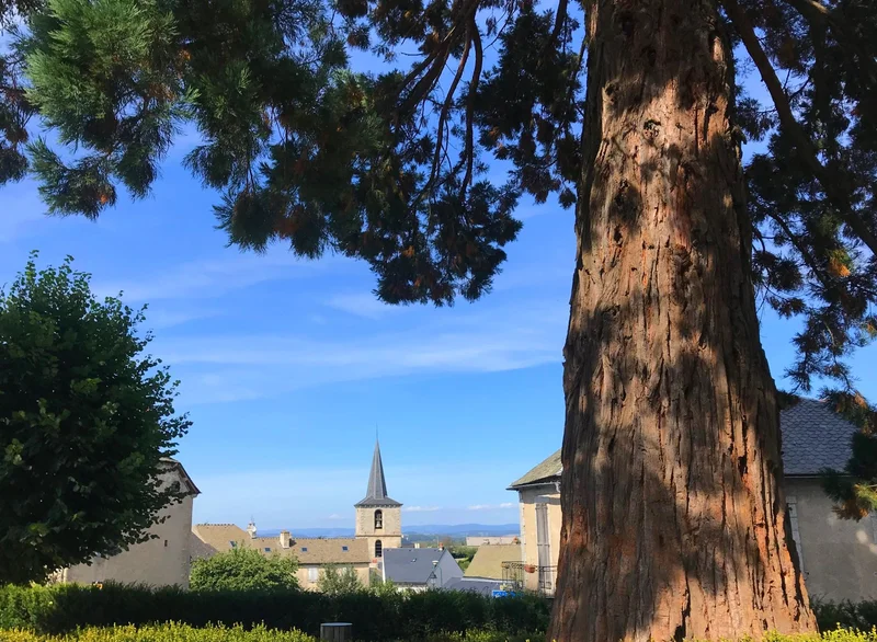 Trail Les huttes - Trail n°22 · Peyre en Aubrac