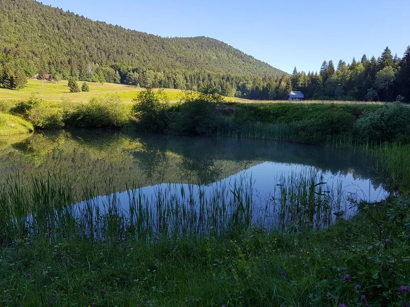 Randonnée Lac et Alpage du Mariet · Arith
