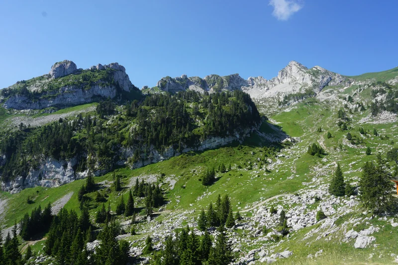 Randonnée Le sentier des chèvres et la descente du pas de l'Ours · Faverges-Seythenex
