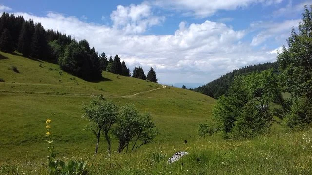 Randonnée Le refuge du Creux de Lachat · Arith