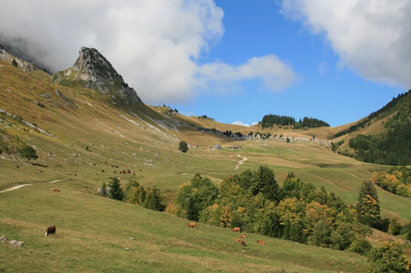Randonnée GRP® Le tour de l'Arcalod - Étape 1 · Jarsy