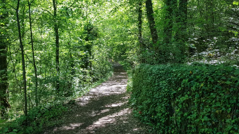 Vélo de route VTT - Sous la dent · Faverges-Seythenex