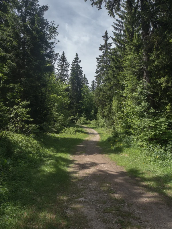 Vélo de route VTT Creux Froid · Les Déserts