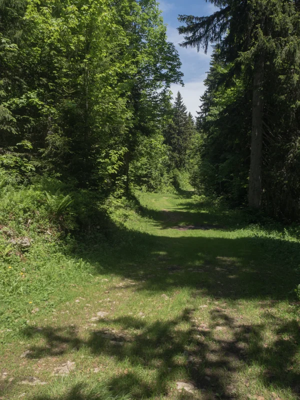 Vélo de route VTT L'Olette · Montcel