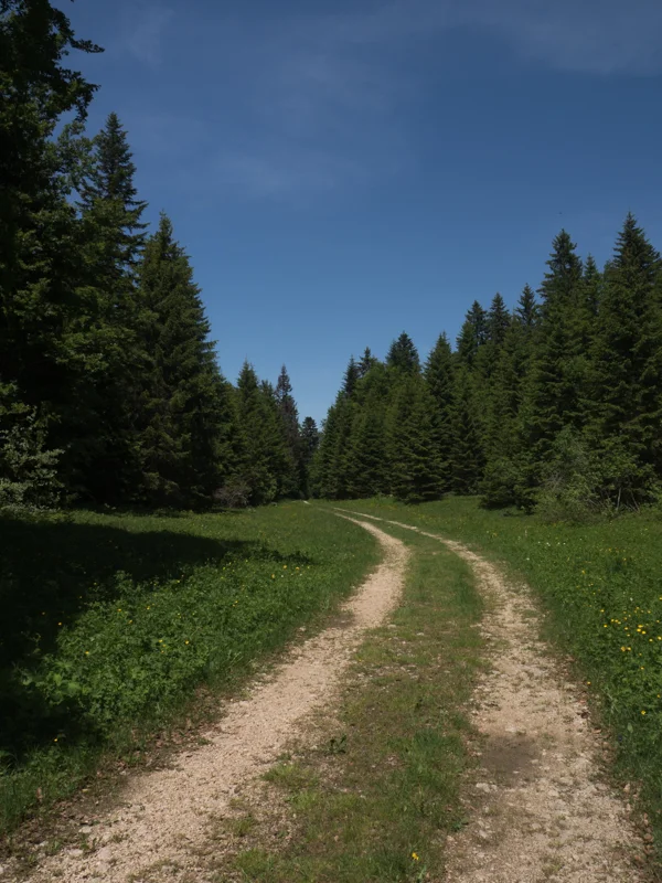 Vélo de route VTT Petite Teppe · Montcel