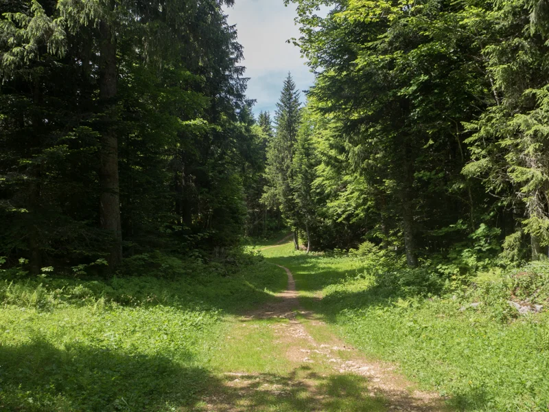 Vélo de route VTT L'Hansen · Montcel