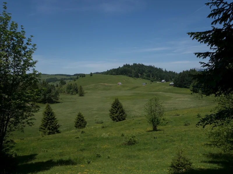 Vélo de route VTT Bois Brulé · Saint-François-de-Sales