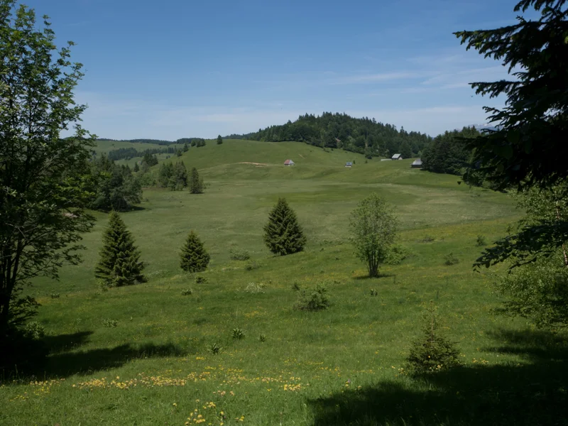 Vélo de route VTT Gros Plane · Saint-François-de-Sales